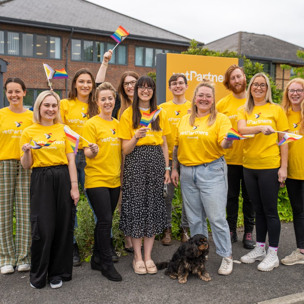 VetPartners pledges support as colleagues prepare for York Pride parade