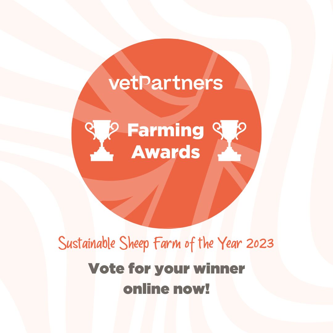 Cast your vote in the VetPartners Farming Awards