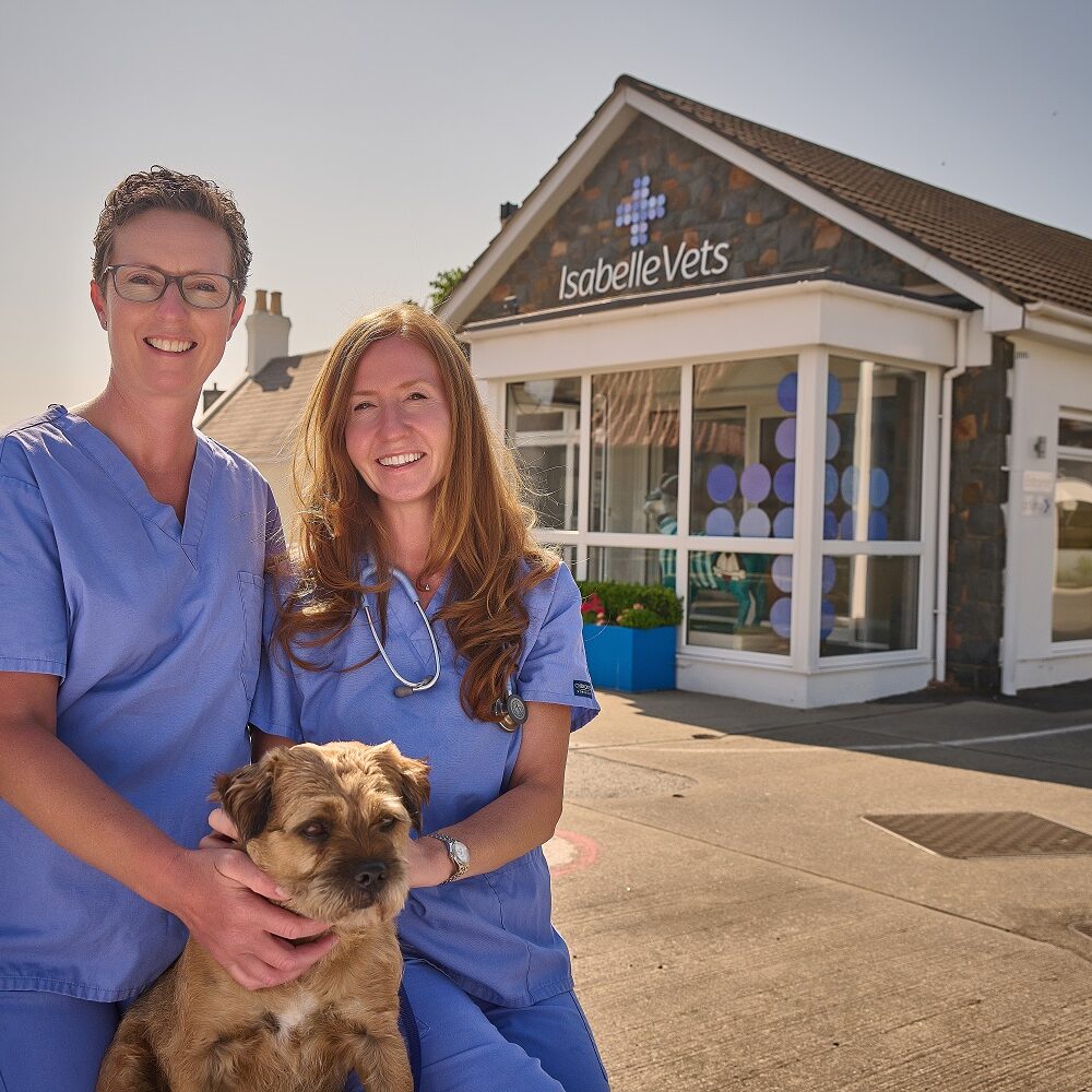 Exciting times ahead for Guernsey’s oldest veterinary practice