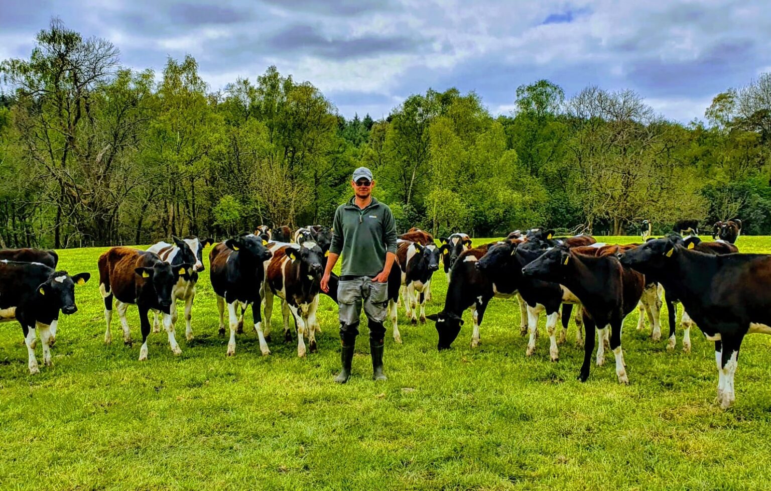 Celebrating Our Sustainable Dairy Farm Award Winners Vetpartners