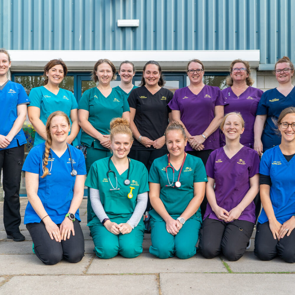 the ashlea vets team gathered outside the front door of the vet centre for team photo