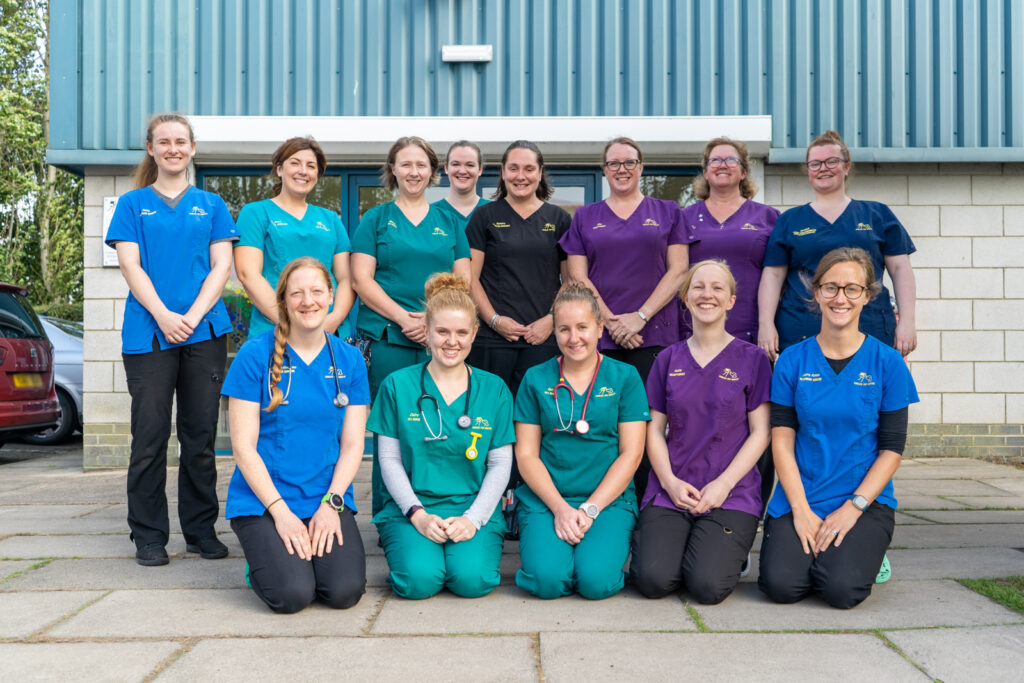 the ashlea vets team gathered outside the front door of the vet centre for team photo