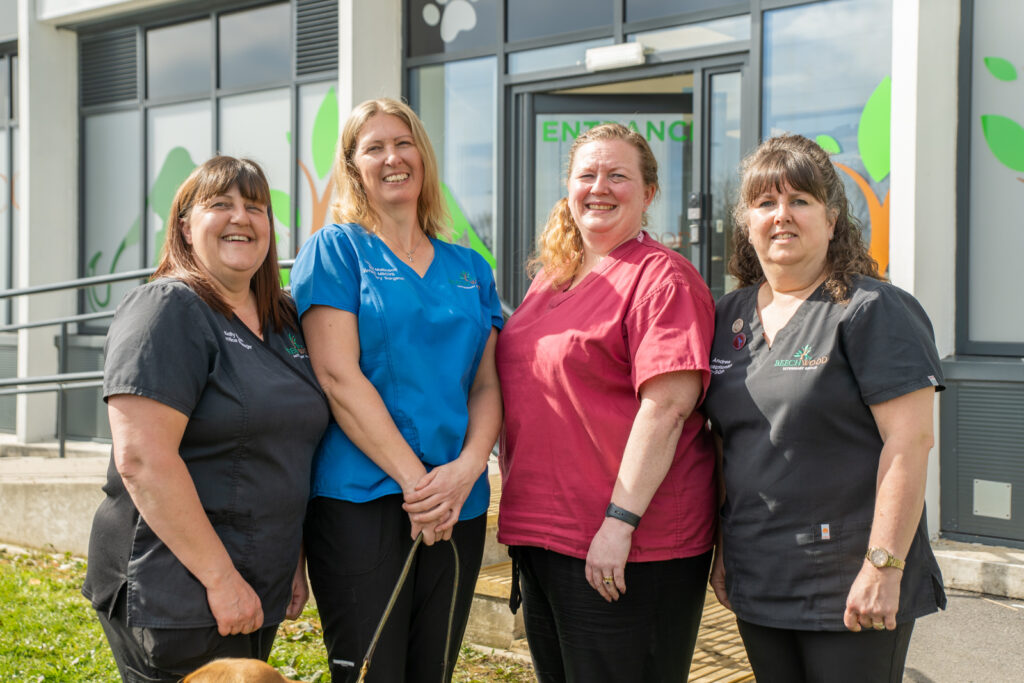 Beechwood veterinary team photo