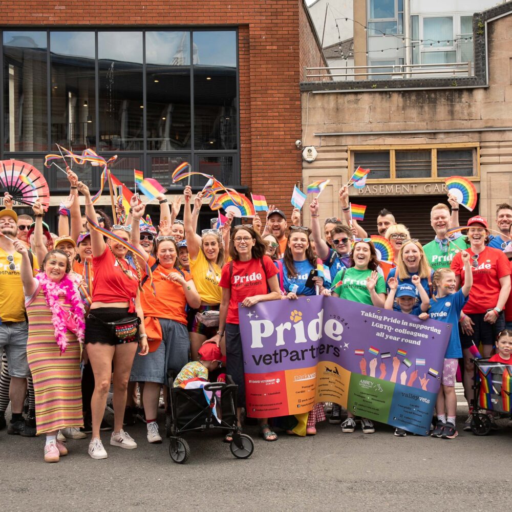 Colleagues in South Wales stand united in Pride celebration