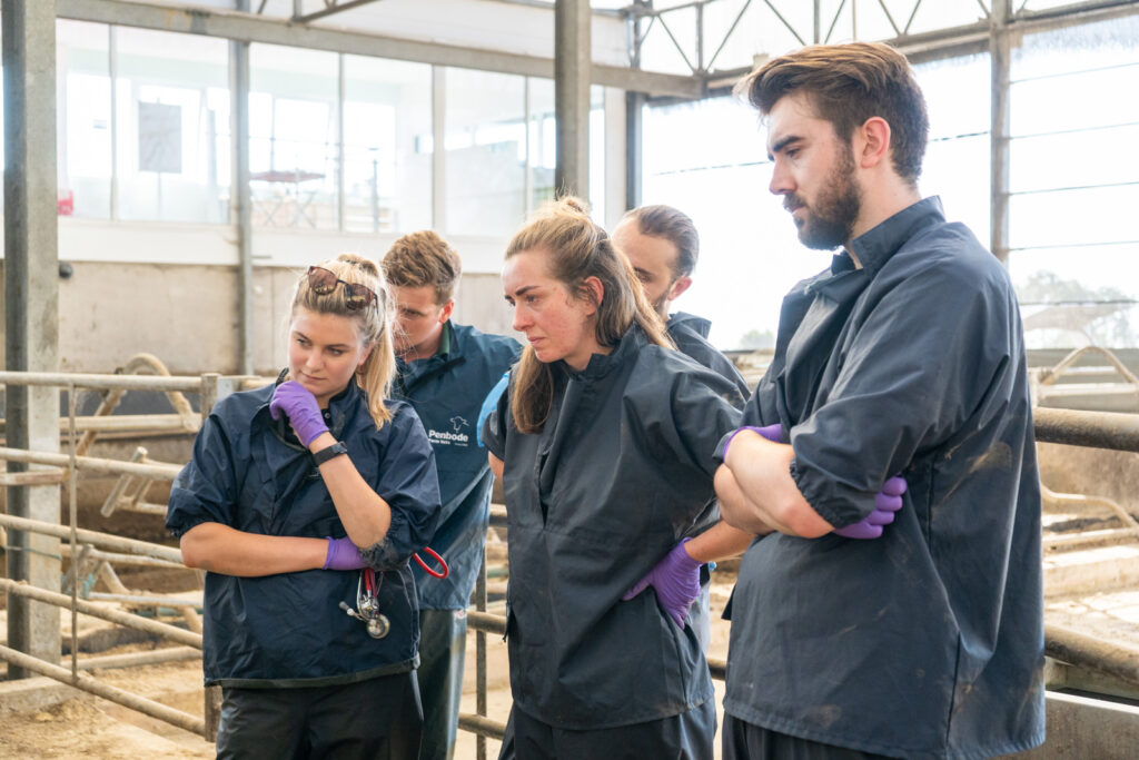 veterinary team learning at a farm bootcamp