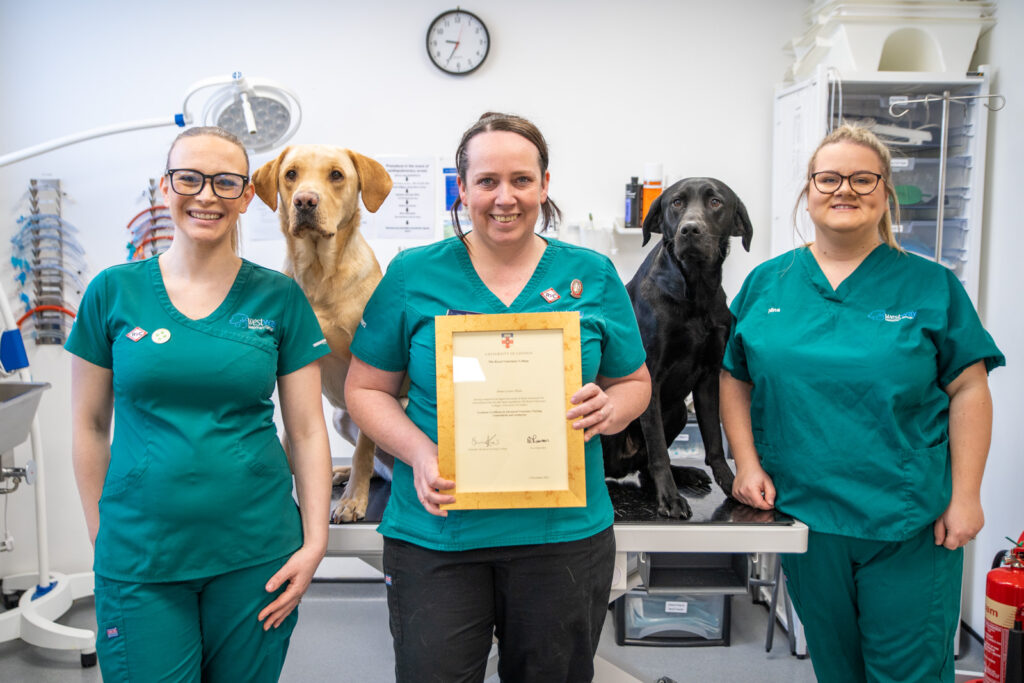 veterinary nurse presenting her accreditation