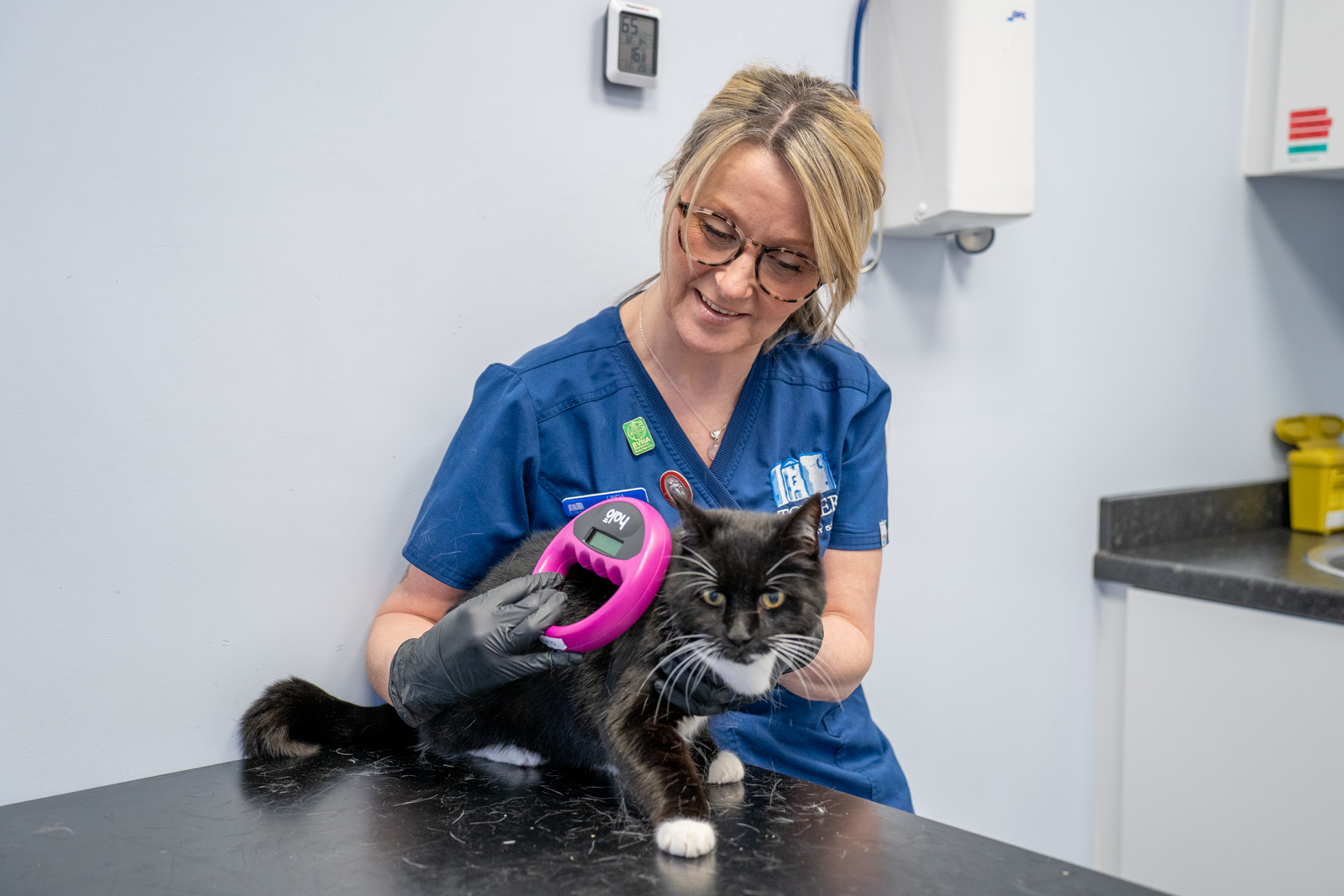 cat being checked for microchip by vet nurse