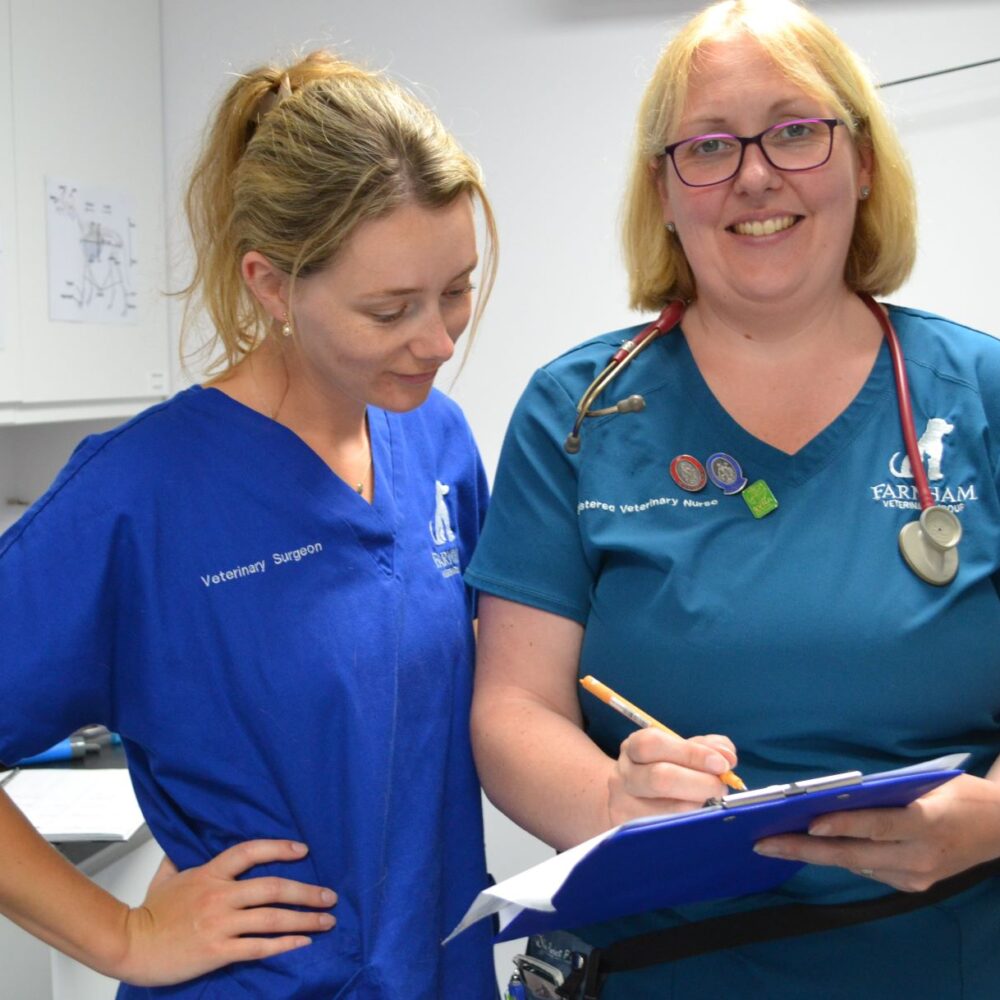 Helen has sights set on greater recognition for veterinary nurses