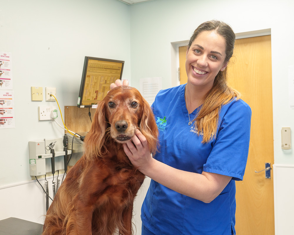 New mum Loren enjoying parenthood and fulfilling vet career