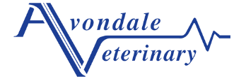 Avondale Veterinary