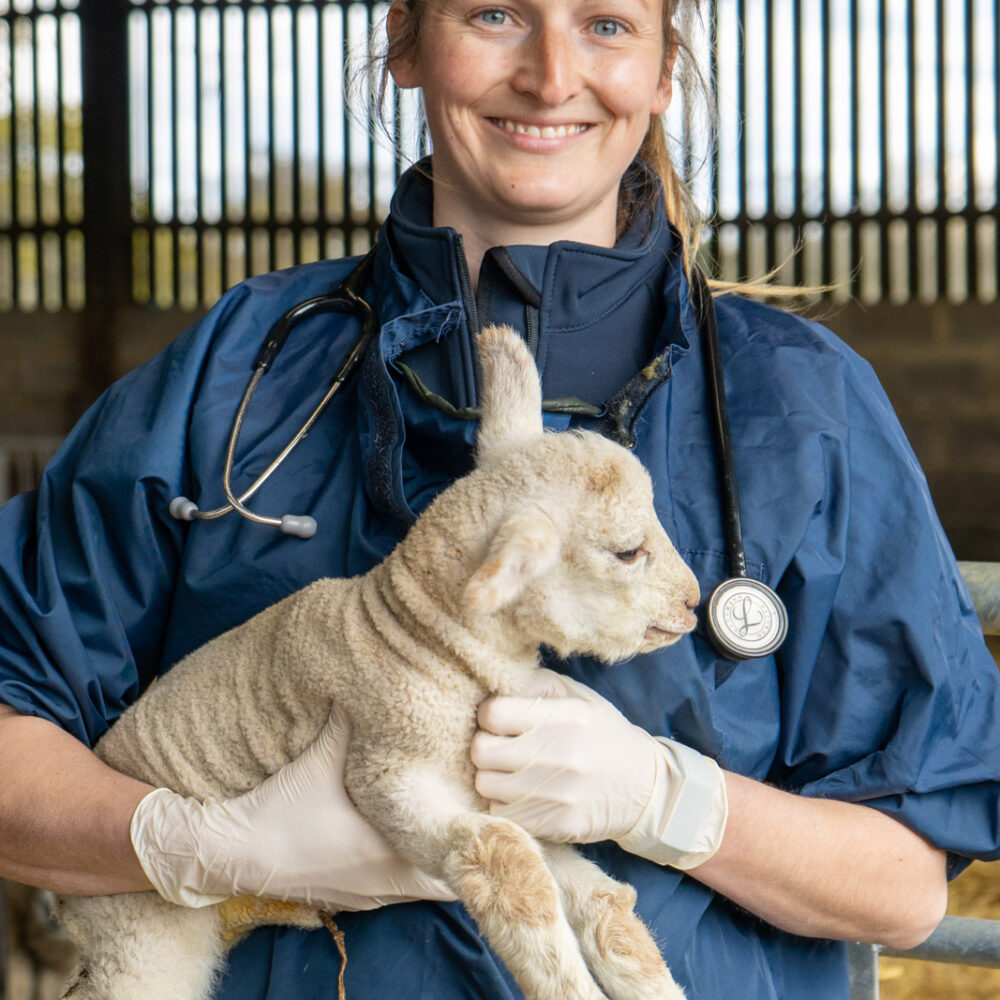 smiling cross counties vet holding a lamb in her arms