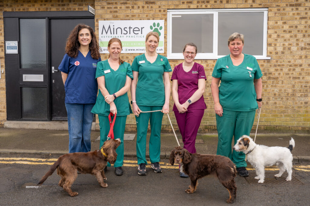 minster vets, malton branch, team photo