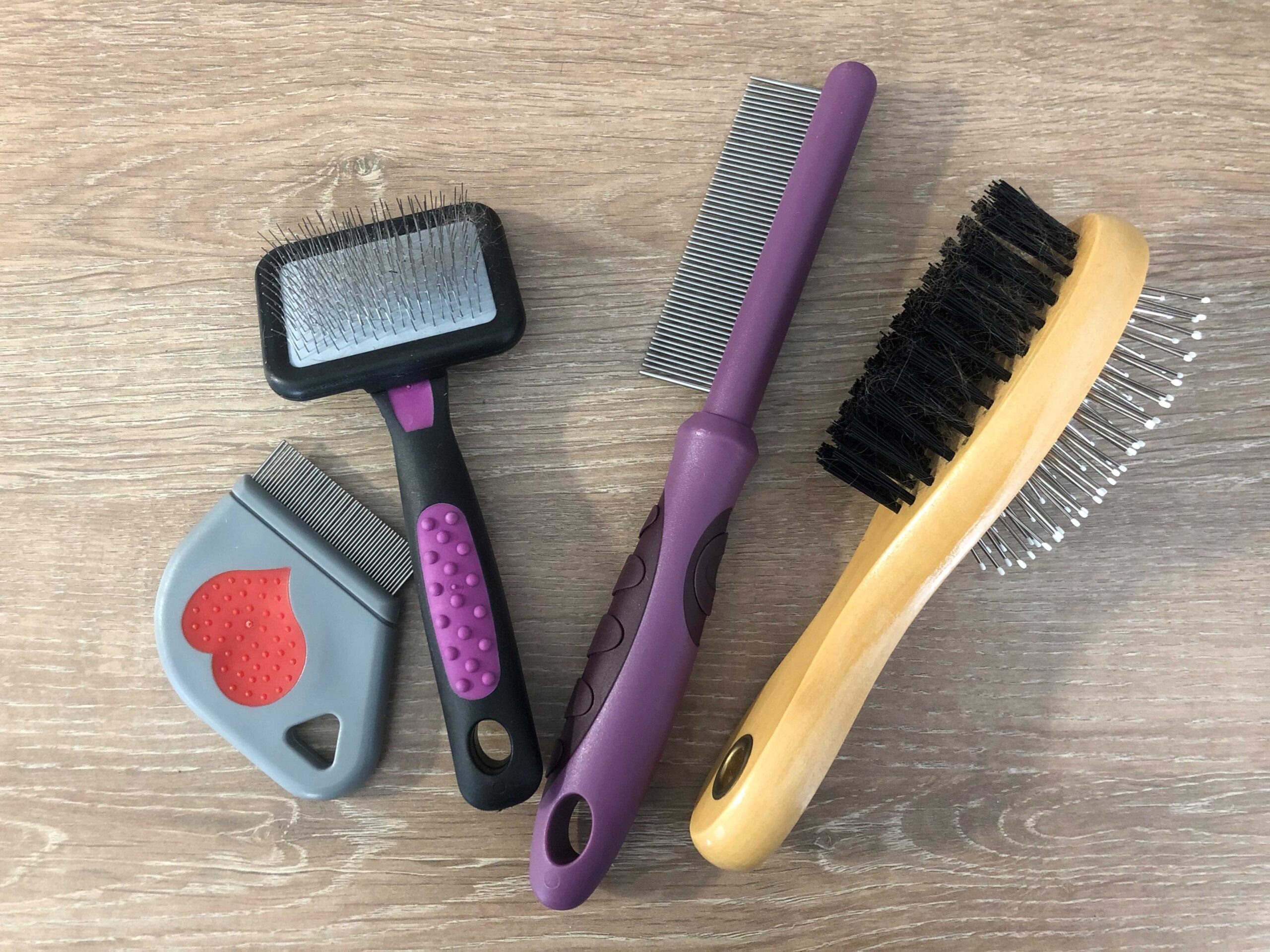 grooming equipment for a dog