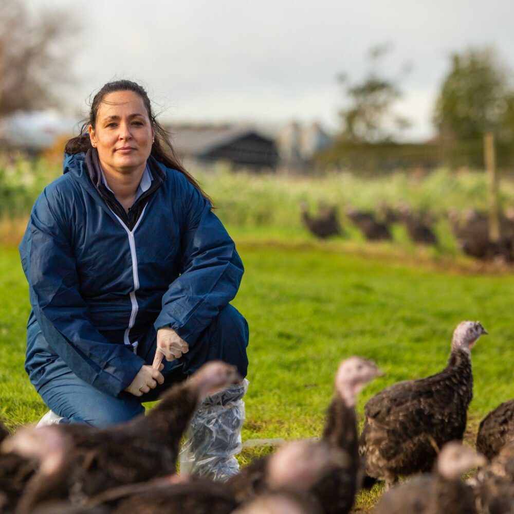 Poultry Health Services has created a happy nest for colleagues