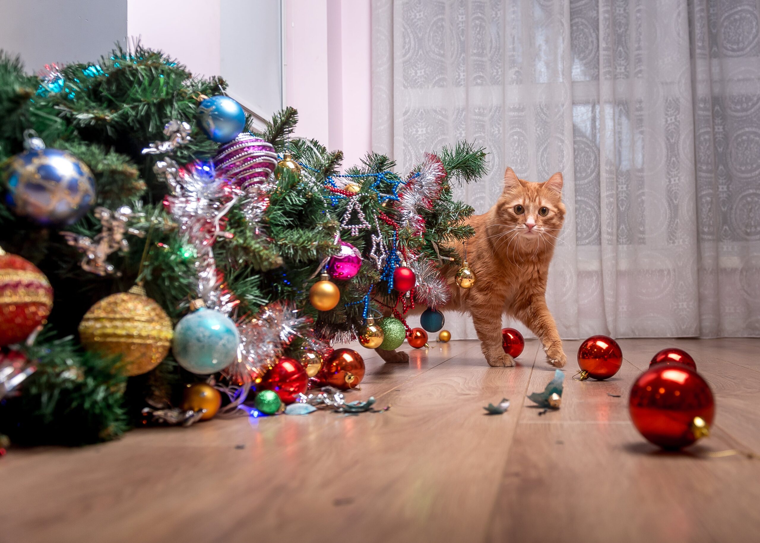 cat bringing down christmas decorations from tree