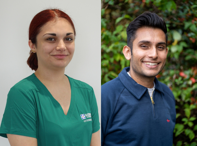 Inspirational RVNs among veterinary world’s brightest young stars