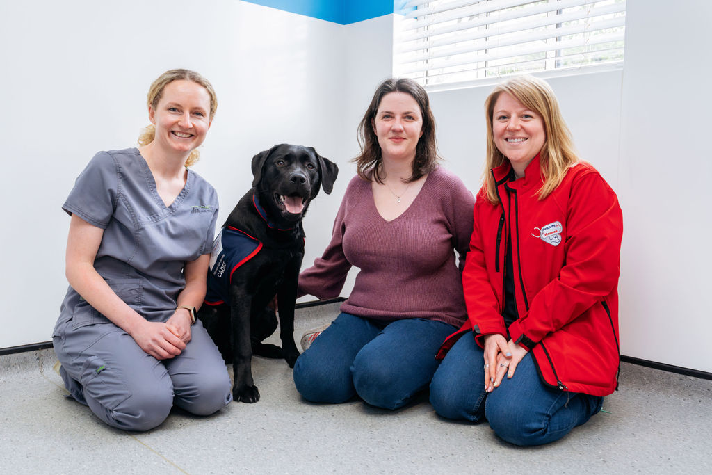 Life-saving surgery for trainee hero pup who swallowed a battery