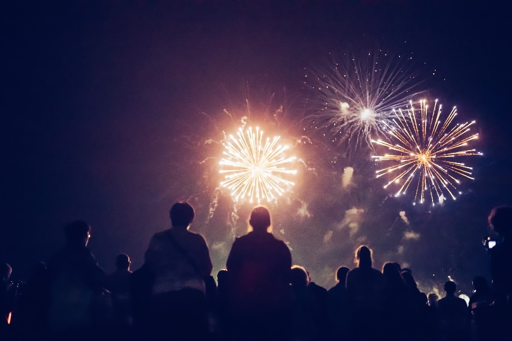 cat owners enjoying firework display