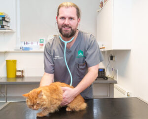 Clinical director Adam Webster examines Callie, a cat that underwent surgery to remove a kidney