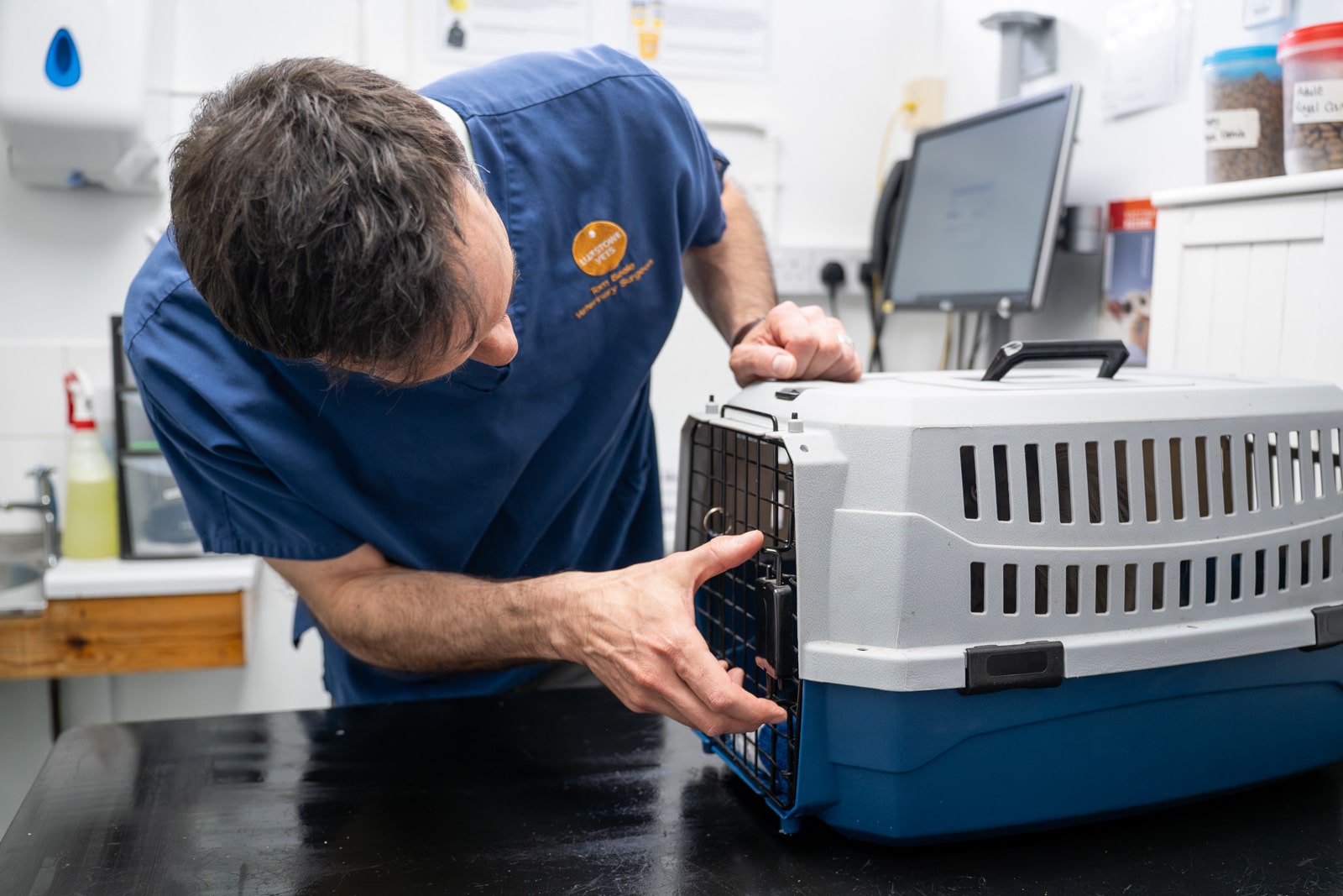 cat being coaxed out of cat carrier at the vets