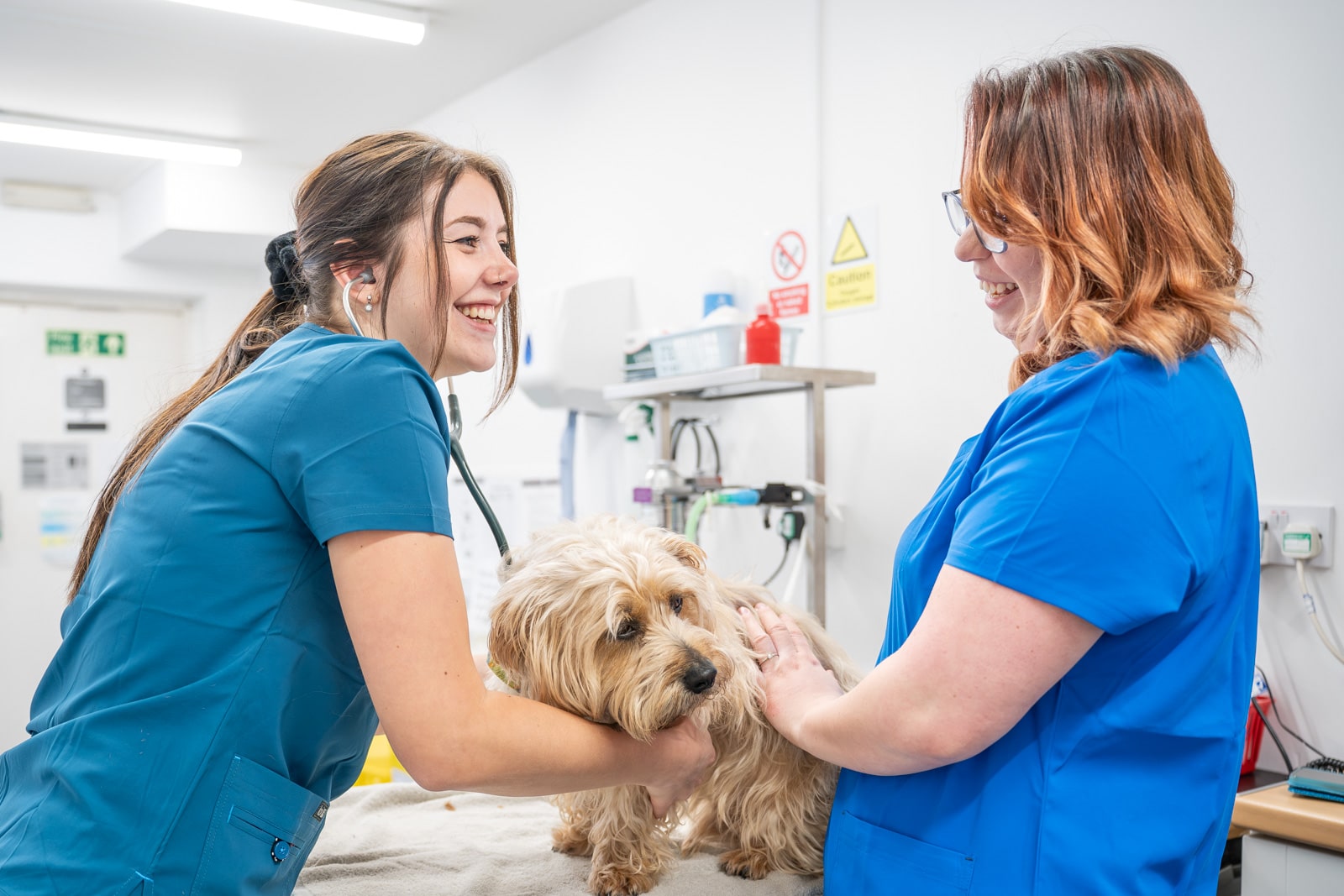 Vaccinating your Dog or Puppy: A Complete Guide