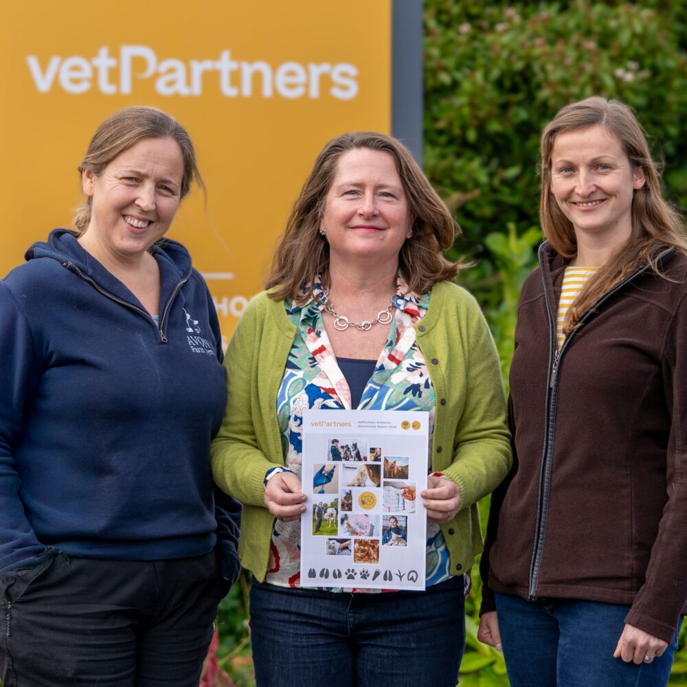 New data reveals continued reduction in antibiotics use across VetPartners’ UK practices