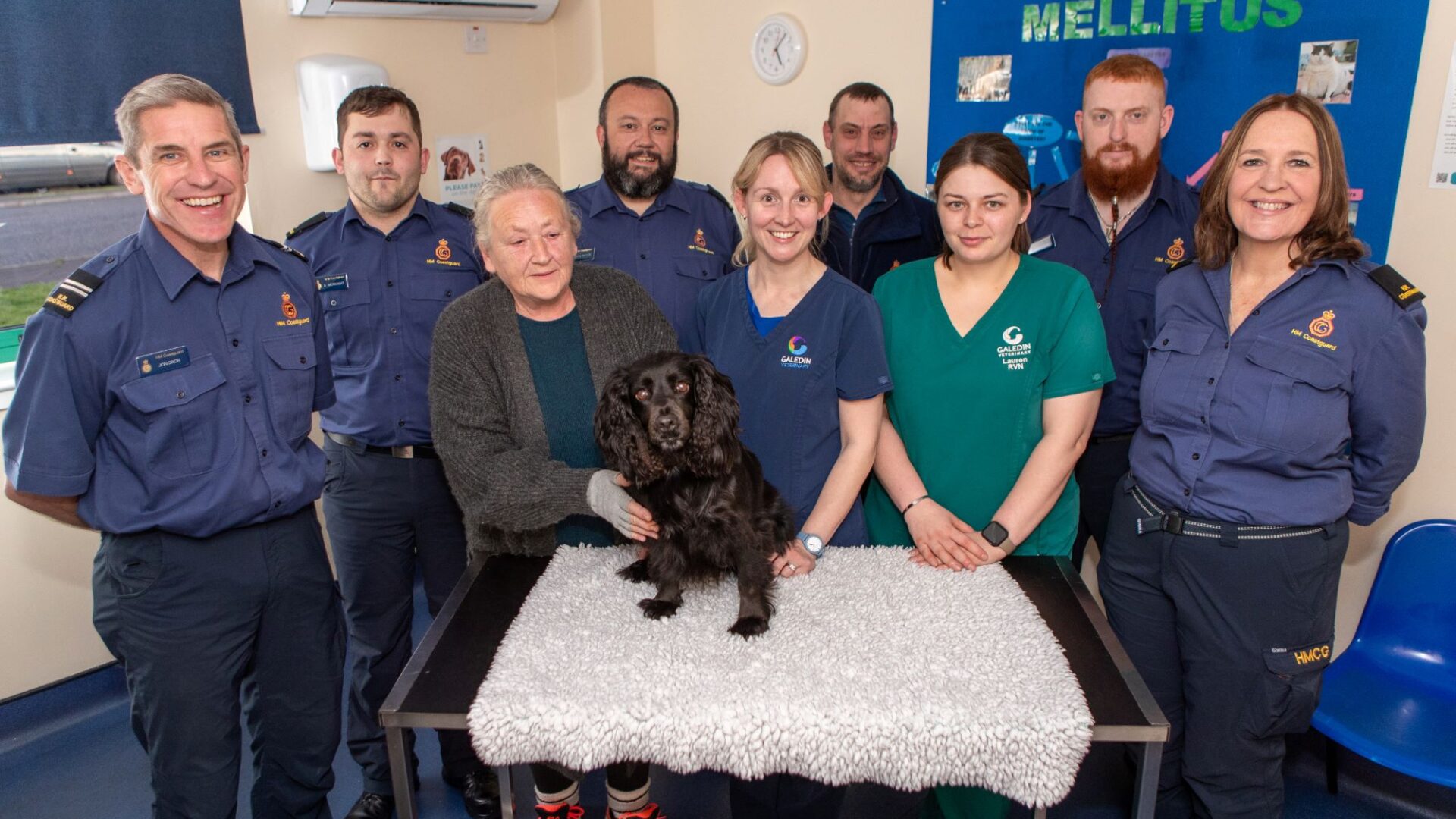 Vets and Coastguard warning after Cocker Spaniel plunges 30ft over cliff