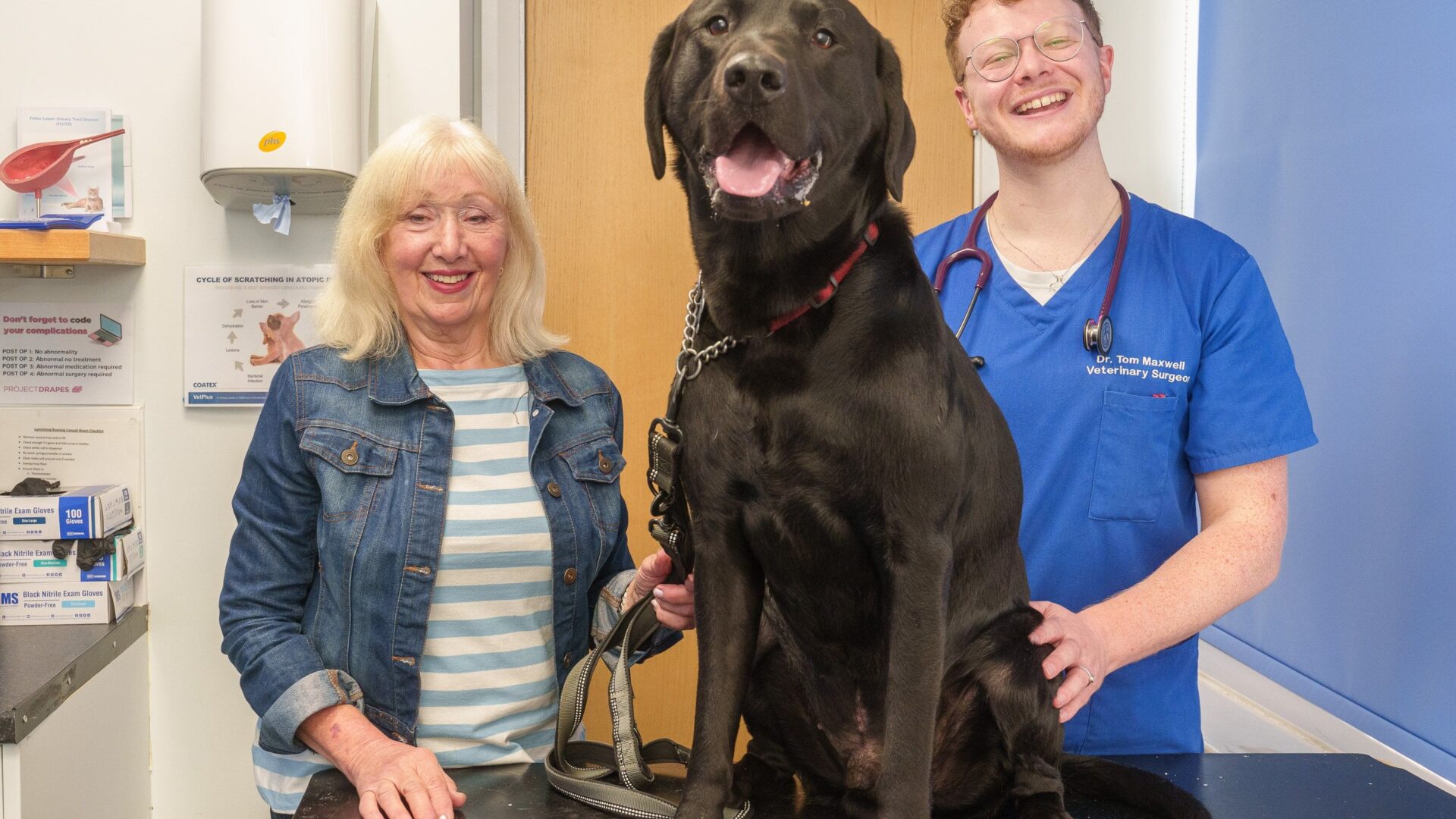 Labrador has lifesaving surgery twice at Tameside Veterinary Clinic