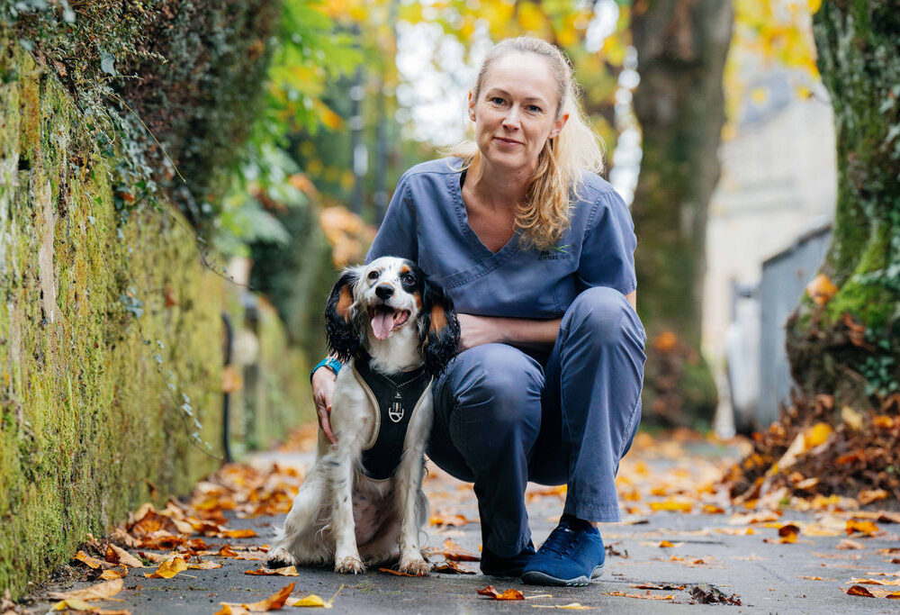 Pet makes full recovery after swallowing kebab skewer