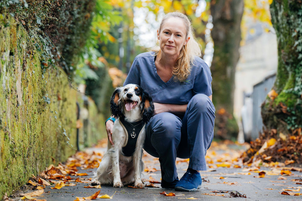 Pet makes full recovery after swallowing kebab skewer