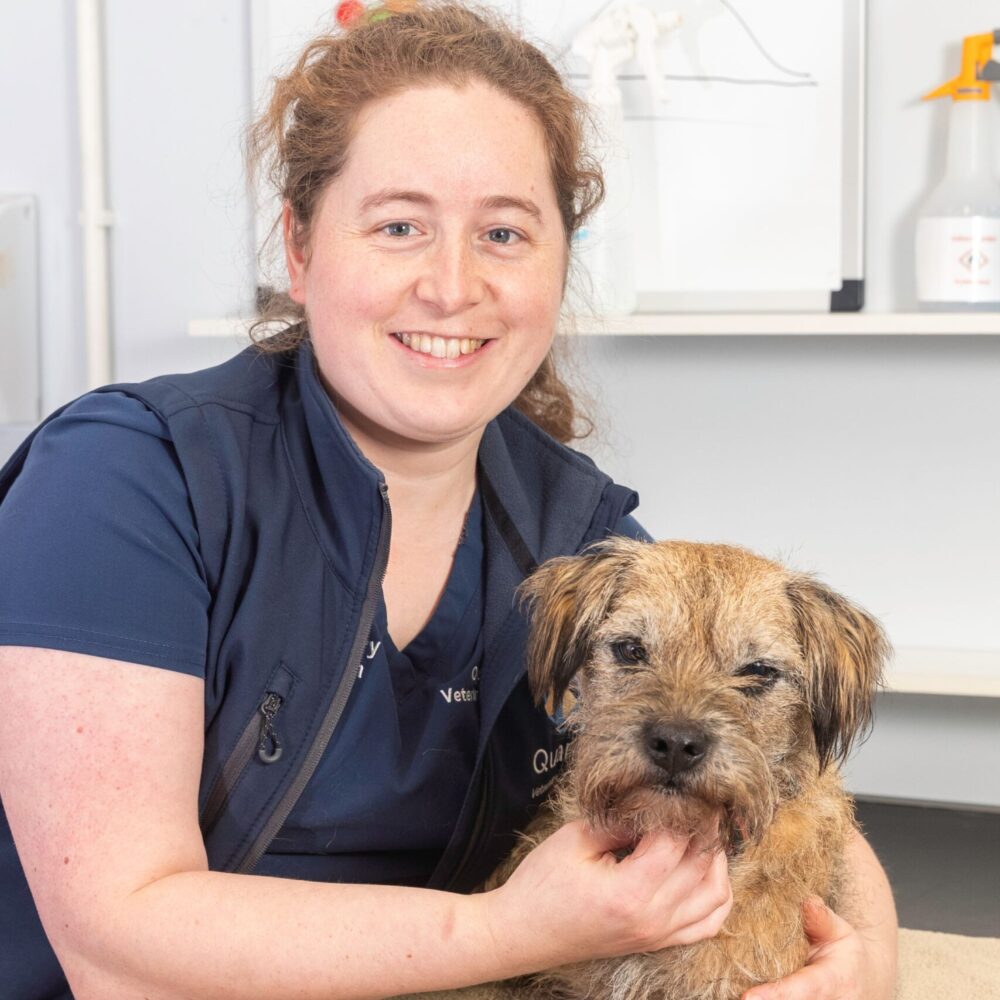 Vet Lizzie inspires Quarry Vets colleagues to reduce use of antibiotics