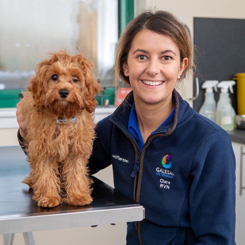 Clare’s nursing career is on the right flight path