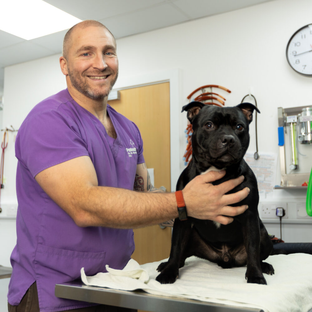 A career built on a passion for the veterinary profession