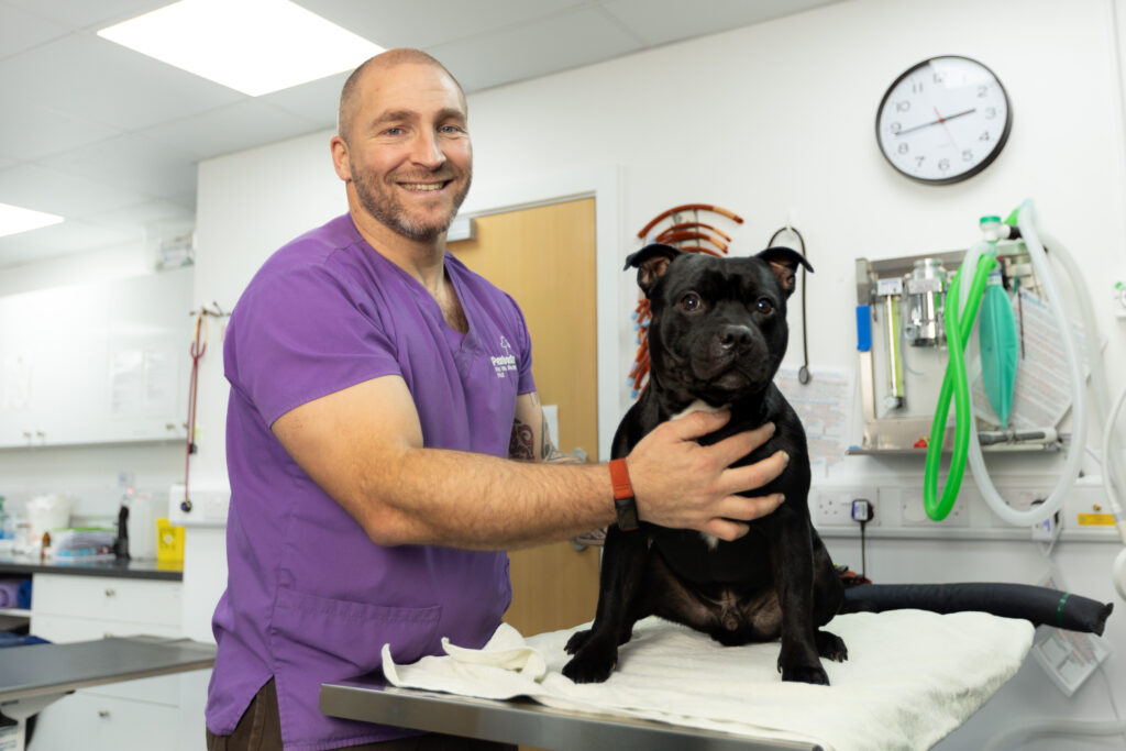 A career built on a passion for the veterinary profession