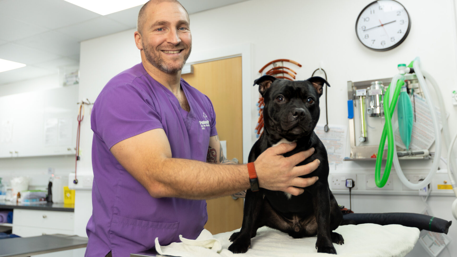 A career built on a passion for the veterinary profession