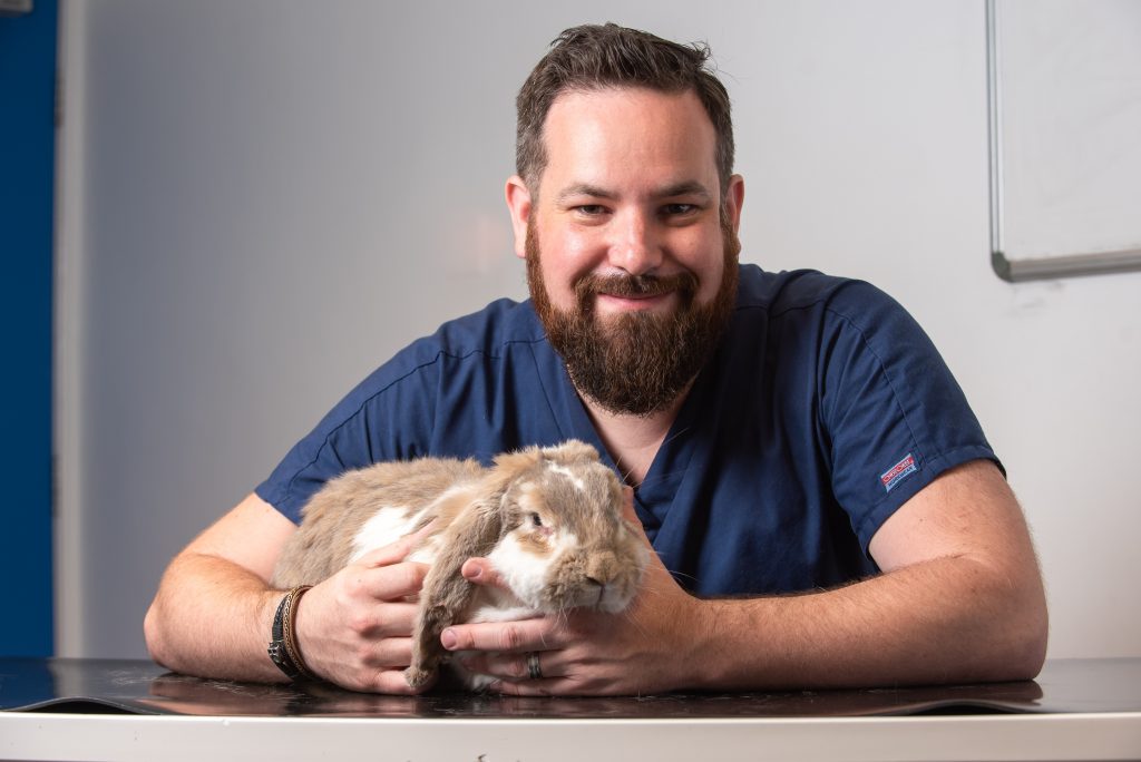 vet holding a rabbit