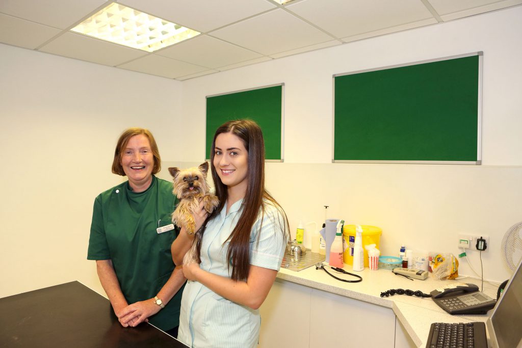 student nurse posing with experienced veterinarian