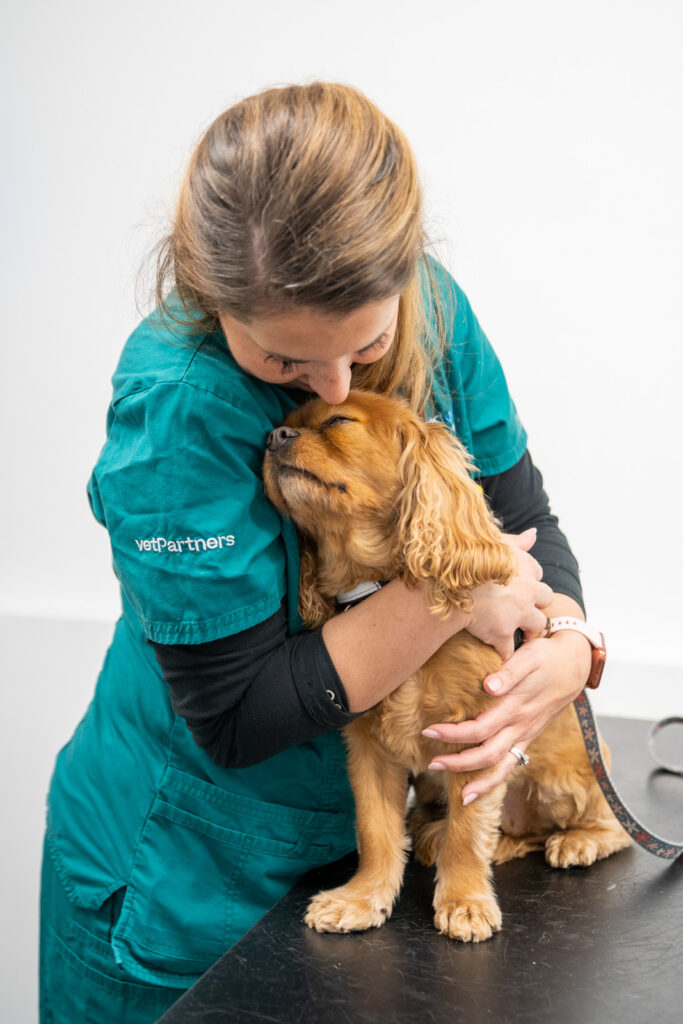 vet nurse embracing a cavapoo