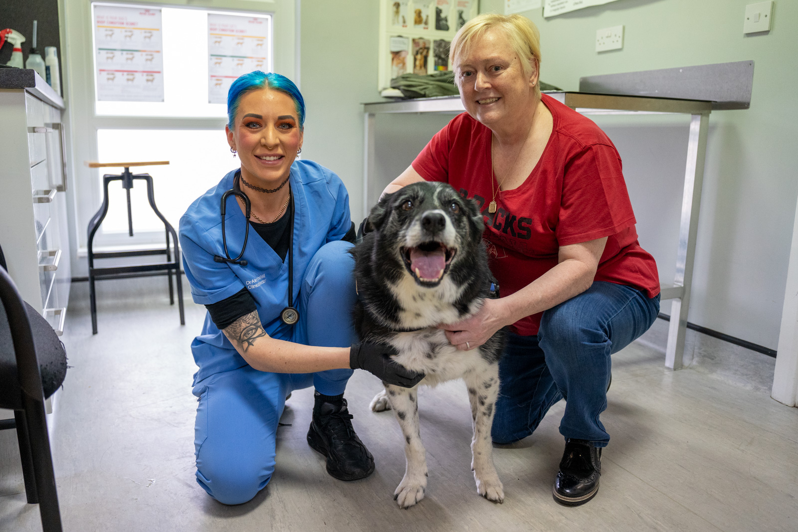 New lease of life for veteran pet after football-sized lump removed from groin